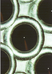 Tubeend